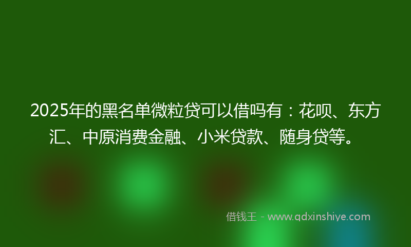 2025年的黑名单微粒贷可以借吗有：花呗、东方汇、中原消费金融、小米贷款、随身贷等。