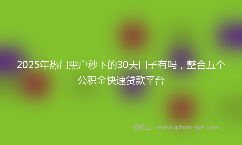 2025年热门黑户秒下的30天口子有吗，整合五个公积金快速贷款平台