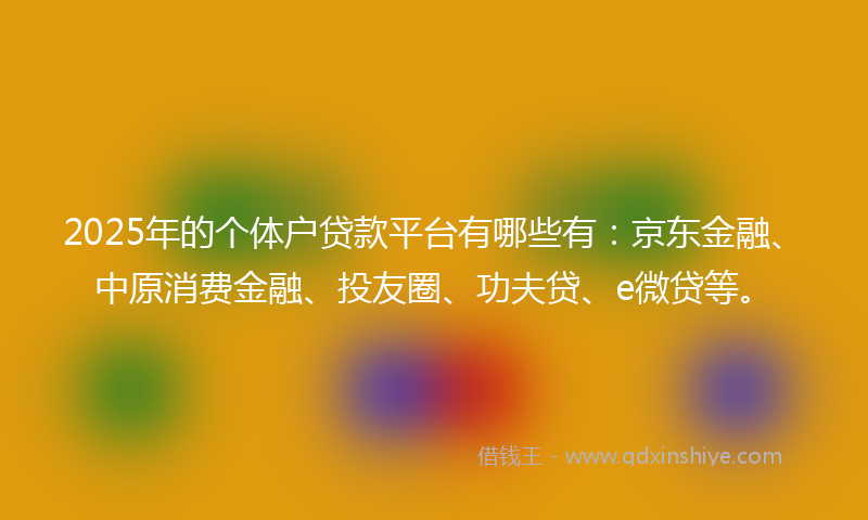 2025年的个体户贷款平台有哪些有：京东金融、中原消费金融、投友圈、功夫贷、e微贷等。