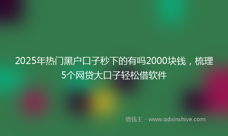 2025年热门黑户口子秒下的有吗2000块钱，梳理5个网贷大口子轻松借软件