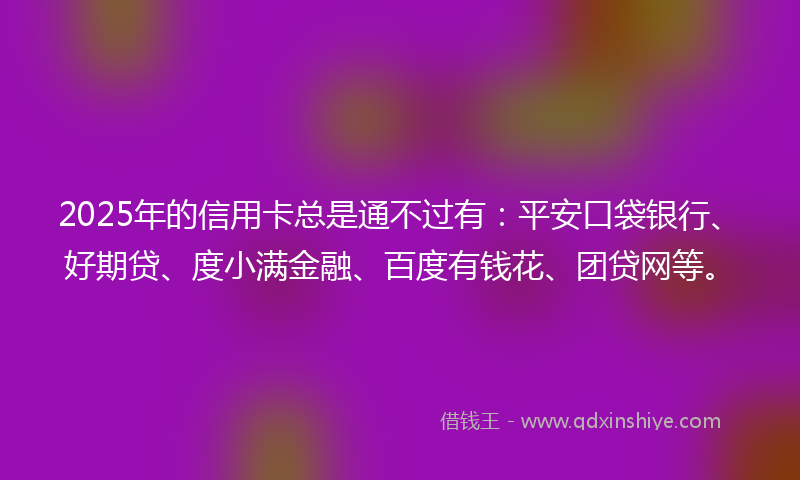 2025年的信用卡总是通不过有：平安口袋银行、好期贷、度小满金融、百度有钱花、团贷网等。