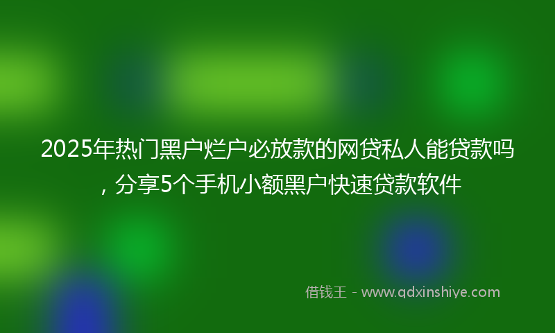 2025年热门黑户烂户必放款的网贷私人能贷款吗，分享5个手机小额黑户快速贷款软件