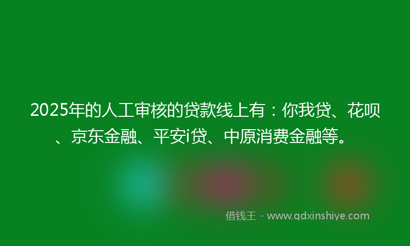 2025年的人工审核的贷款线上有：你我贷、花呗、京东金融、平安i贷、中原消费金融等。