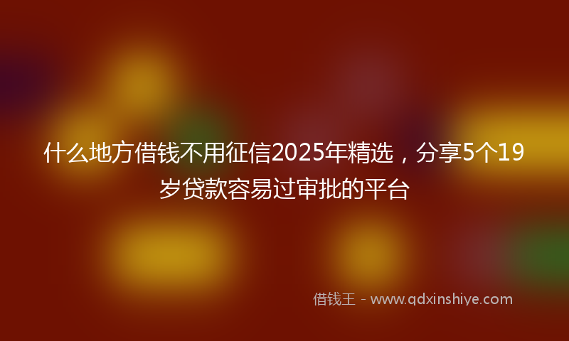 什么地方借钱不用征信2025年精选，分享5个19岁贷款容易过审批的平台