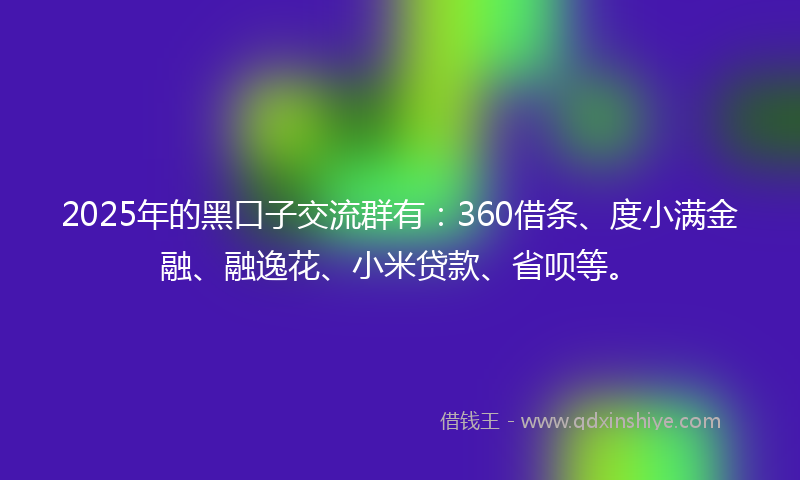 2025年的黑口子交流群有：360借条、度小满金融、融逸花、小米贷款、省呗等。