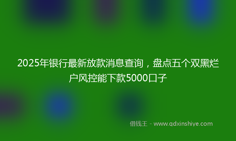 2025年银行最新放款消息查询，盘点五个双黑烂户风控能下款5000口子