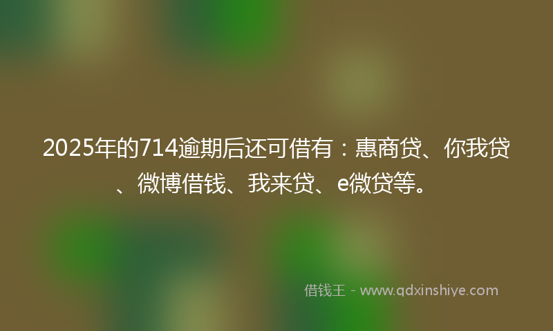 2025年的714逾期后还可借有：惠商贷、你我贷、微博借钱、我来贷、e微贷等。