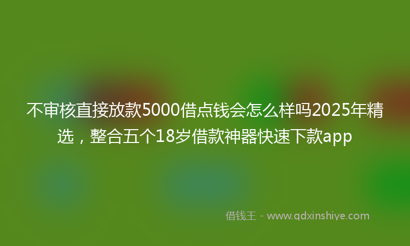 不审核直接放款5000借点钱会怎么样吗2025年精选，整合五个18岁借款神器快速下款app