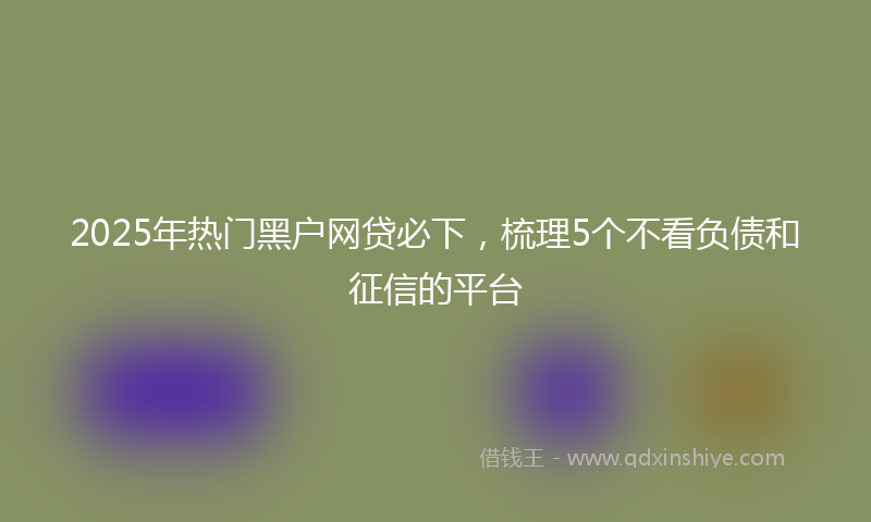 2025年热门黑户网贷必下，梳理5个不看负债和征信的平台
