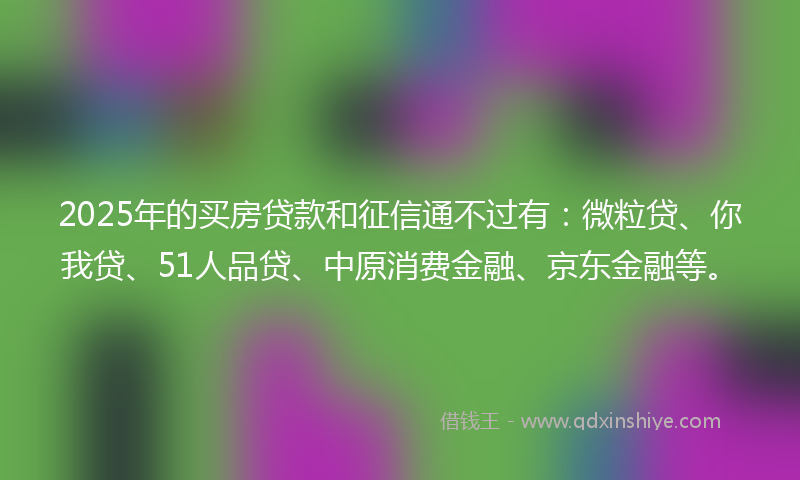 2025年的买房贷款和征信通不过有：微粒贷、你我贷、51人品贷、中原消费金融、京东金融等。