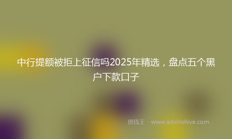 中行提额被拒上征信吗2025年精选，盘点五个黑户下款口子