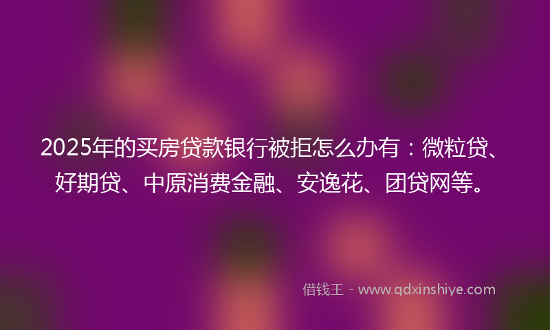 2025年的买房贷款银行被拒怎么办有：微粒贷、好期贷、中原消费金融、安逸花、团贷网等。
