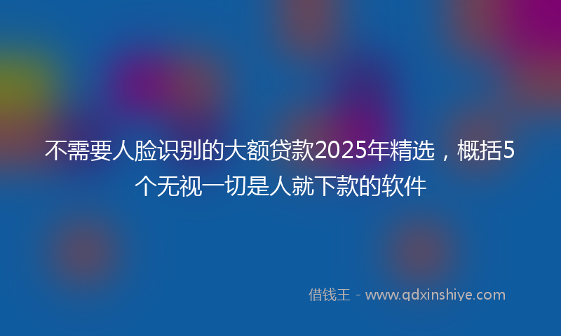 不需要人脸识别的大额贷款2025年精选，概括5个无视一切是人就下款的软件
