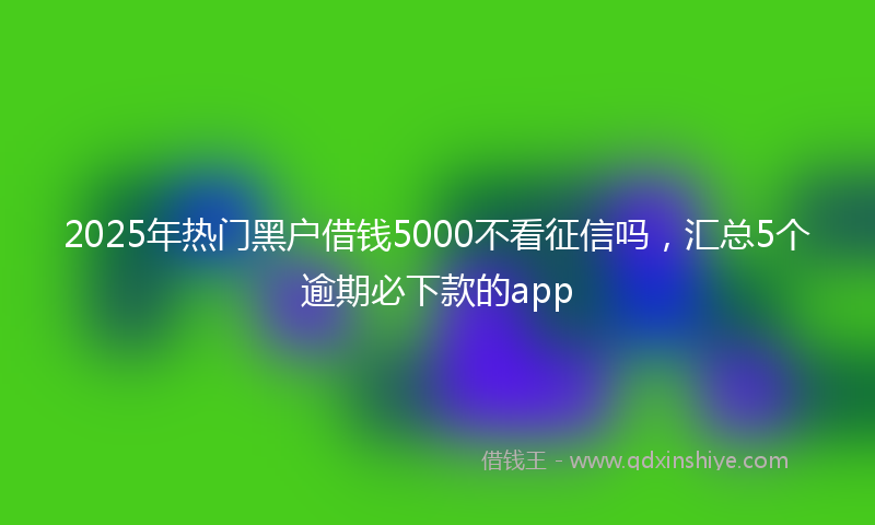 2025年热门黑户借钱5000不看征信吗，汇总5个逾期必下款的app