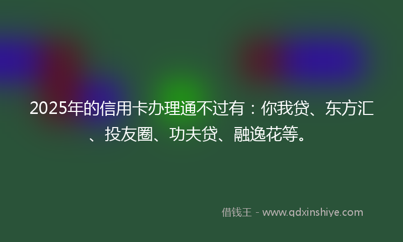 2025年的信用卡办理通不过有：你我贷、东方汇、投友圈、功夫贷、融逸花等。