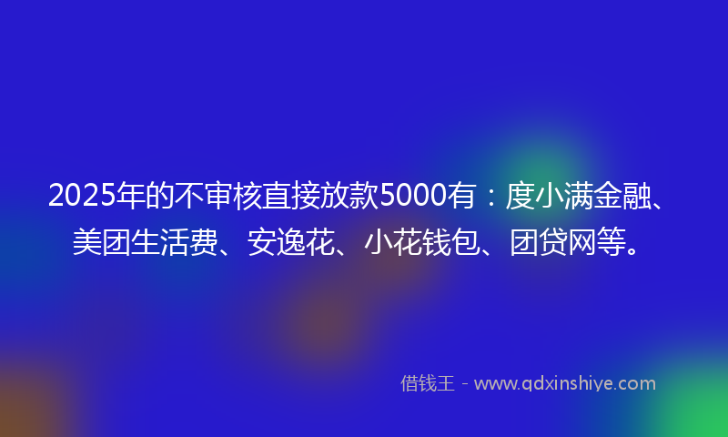 2025年的不审核直接放款5000有：度小满金融、美团生活费、安逸花、小花钱包、团贷网等。