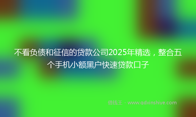 不看负债和征信的贷款公司2025年精选，整合五个手机小额黑户快速贷款口子