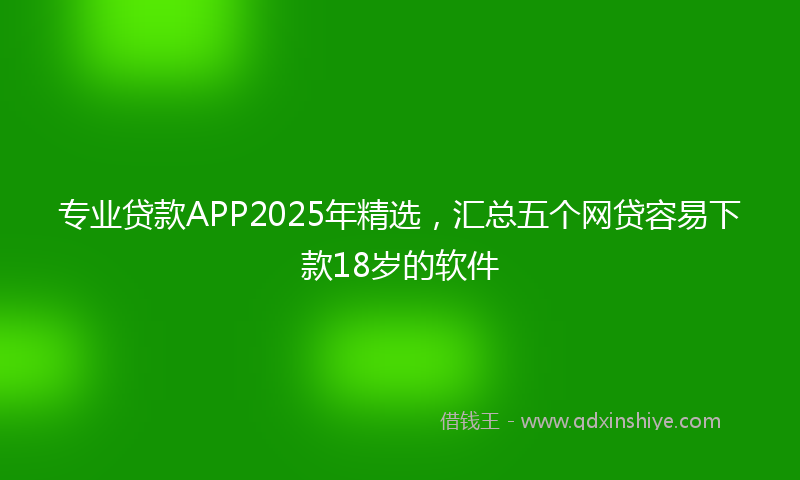 专业贷款APP2025年精选，汇总五个网贷容易下款18岁的软件