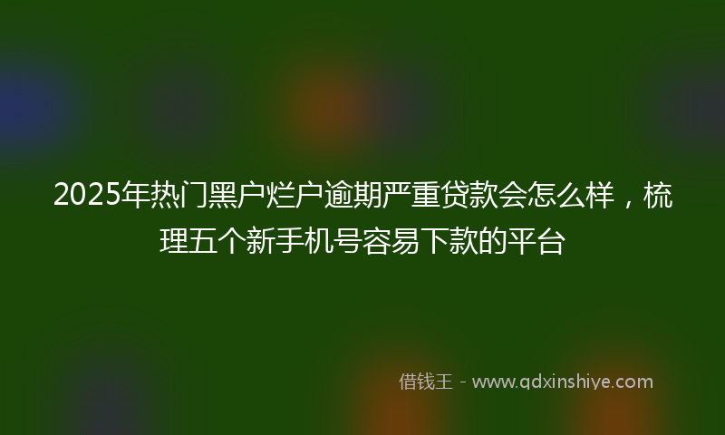2025年热门黑户烂户逾期严重贷款会怎么样，梳理五个新手机号容易下款的平台
