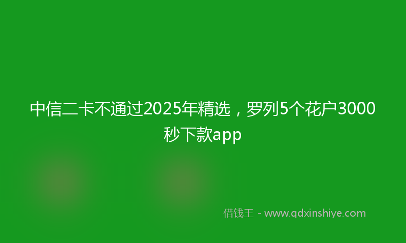 中信二卡不通过2025年精选，罗列5个花户3000秒下款app