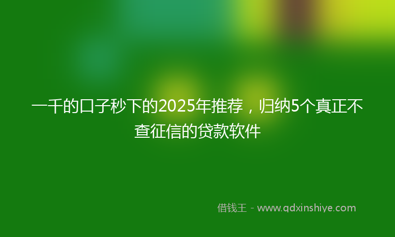 一千的口子秒下的2025年推荐，归纳5个真正不查征信的贷款软件