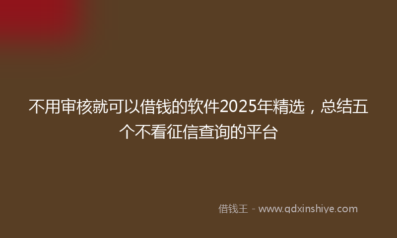 不用审核就可以借钱的软件2025年精选，总结五个不看征信查询的平台