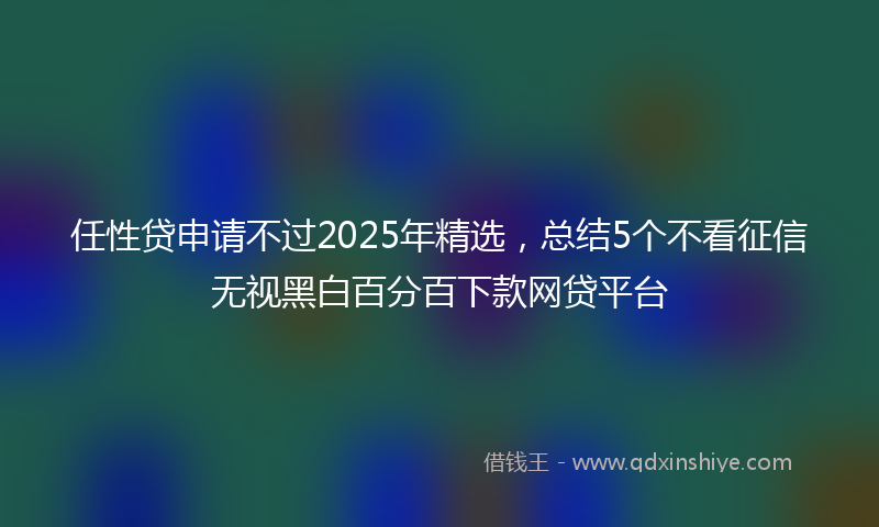 任性贷申请不过2025年精选，总结5个不看征信无视黑白百分百下款网贷平台