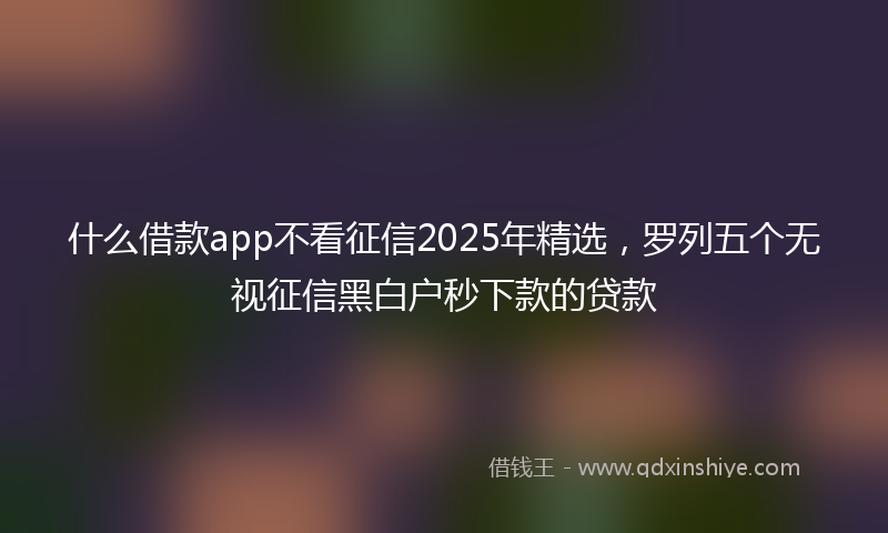 什么借款app不看征信2025年精选，罗列五个无视征信黑白户秒下款的贷款