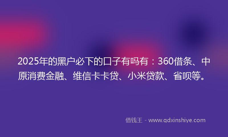 2025年的黑户必下的口子有吗有:360借条、中原消费金融、维信卡卡贷、小米贷款、省呗等。