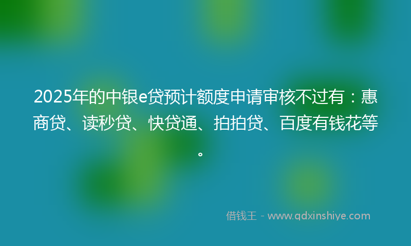 2025年的中银e贷预计额度申请审核不过有：惠商贷、读秒贷、快贷通、拍拍贷、百度有钱花等。