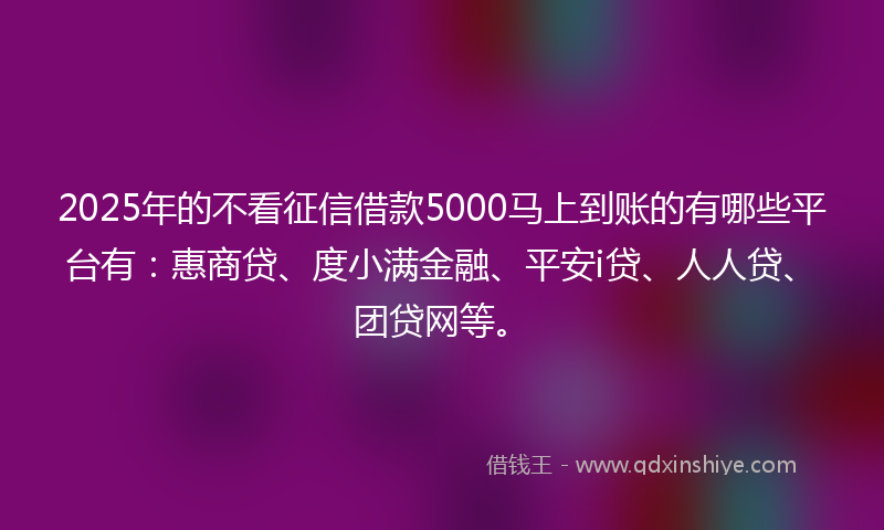 2025年的不看征信借款5000马上到账的有哪些平台有：惠商贷、度小满金融、平安i贷、人人贷、团贷网等。