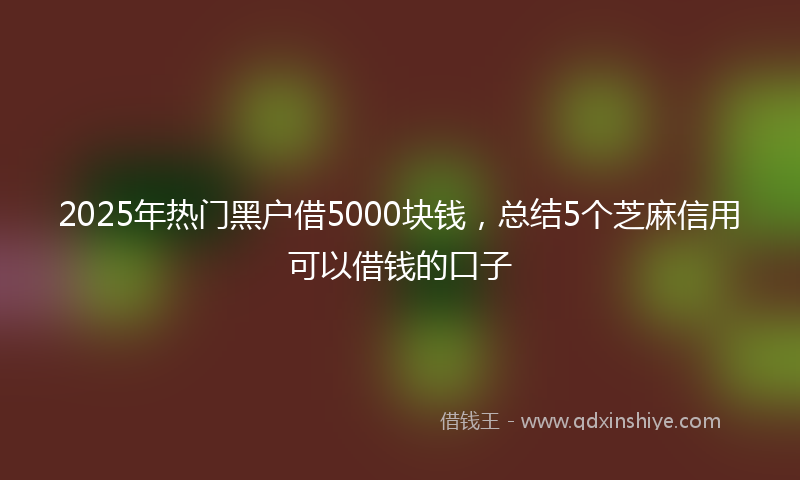 2025年热门黑户借5000块钱，总结5个芝麻信用可以借钱的口子