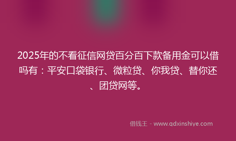2025年的不看征信网贷百分百下款备用金可以借吗有：平安口袋银行、微粒贷、你我贷、替你还、团贷网等。