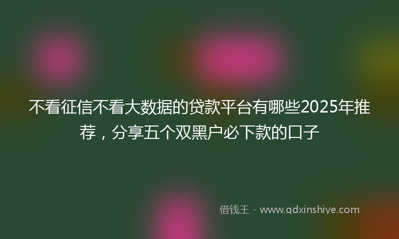 不看征信不看大数据的贷款平台有哪些2025年推荐，分享五个双黑户必下款的口子