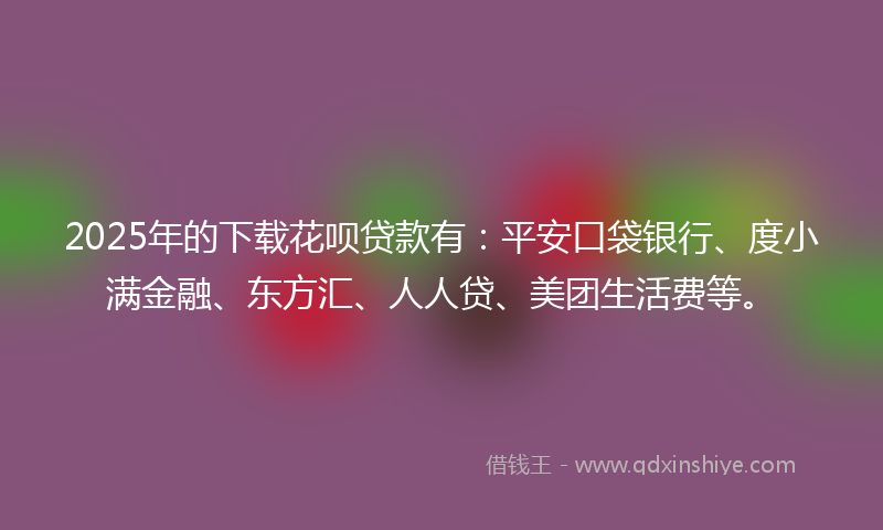 2025年的下载花呗贷款有：平安口袋银行、度小满金融、东方汇、人人贷、美团生活费等。