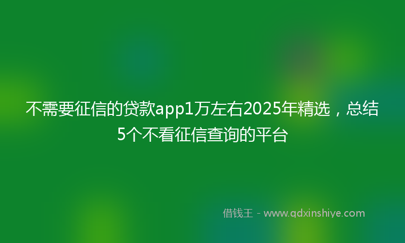 不需要征信的贷款app1万左右2025年精选，总结5个不看征信查询的平台