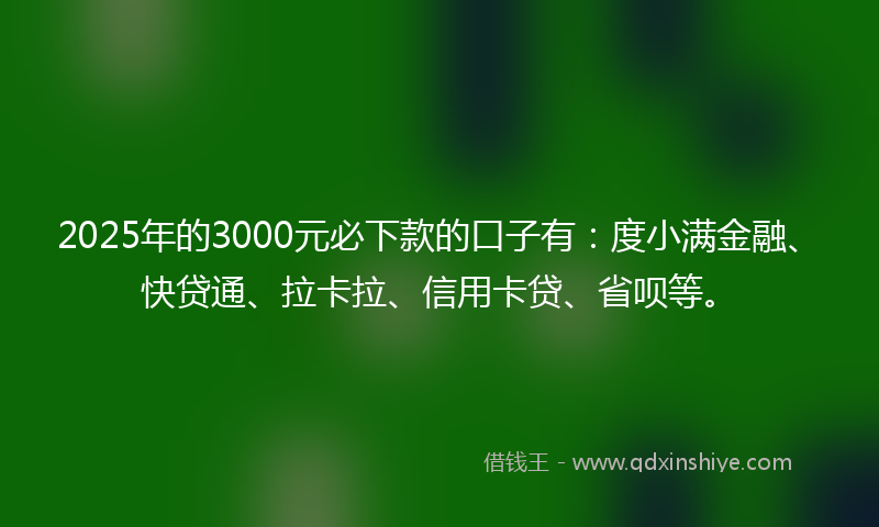 2025年的3000元必下款的口子有：度小满金融、快贷通、拉卡拉、信用卡贷、省呗等。