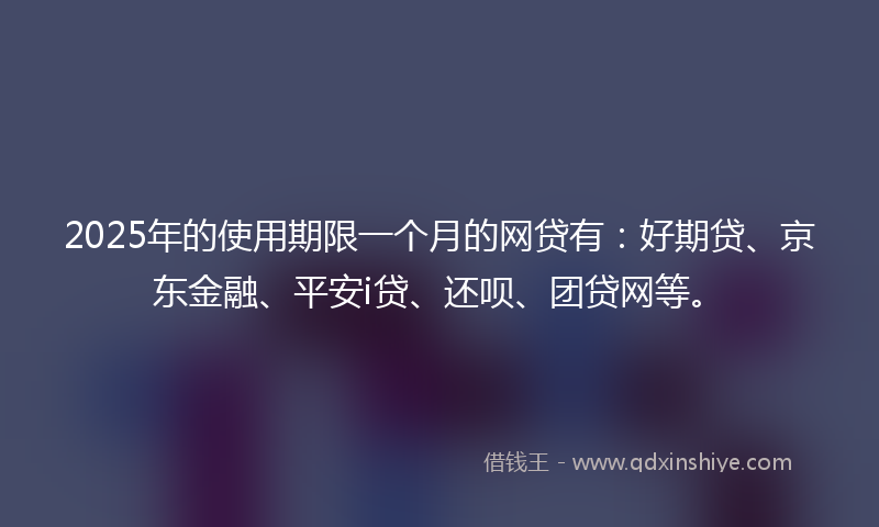 2025年的使用期限一个月的网贷有：好期贷、京东金融、平安i贷、还呗、团贷网等。