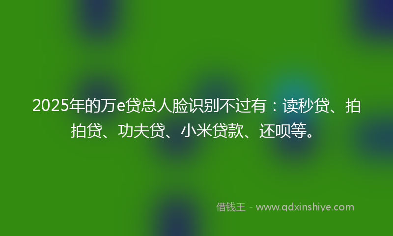2025年的万e贷总人脸识别不过有：读秒贷、拍拍贷、功夫贷、小米贷款、还呗等。