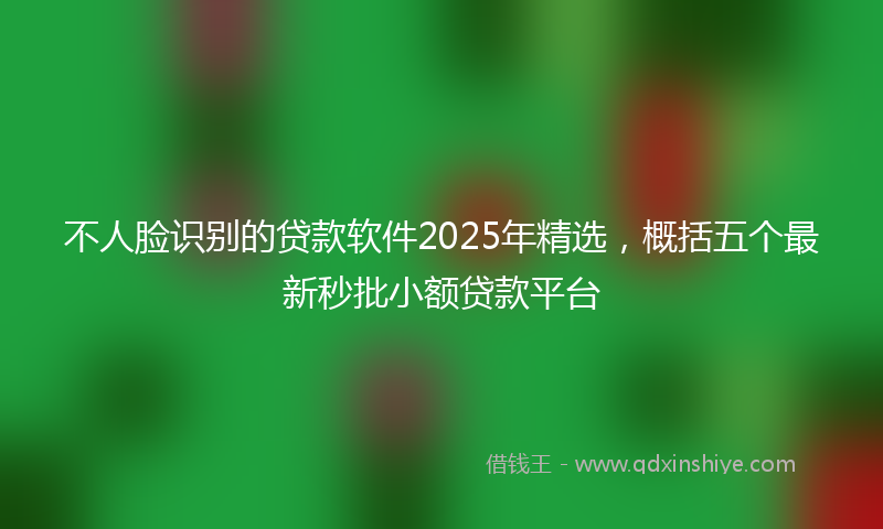 不人脸识别的贷款软件2025年精选，概括五个最新秒批小额贷款平台