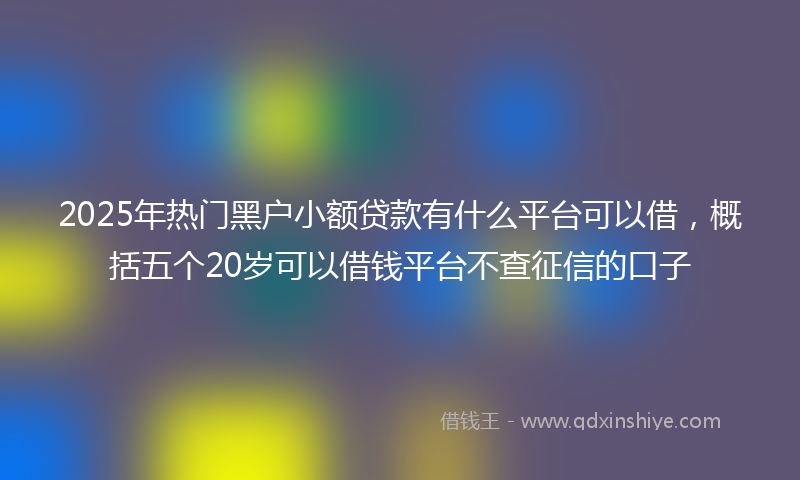 2025年热门黑户小额贷款有什么平台可以借，概括五个20岁可以借钱平台不查征信的口子