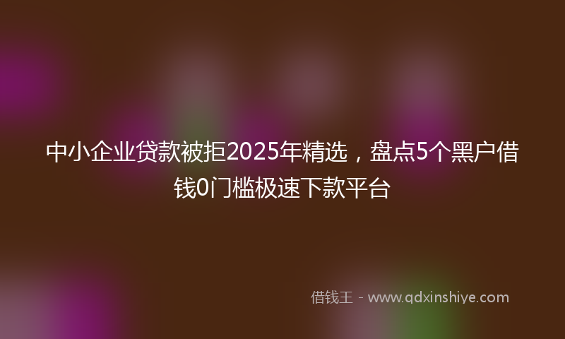 中小企业贷款被拒2025年精选，盘点5个黑户借钱0门槛极速下款平台