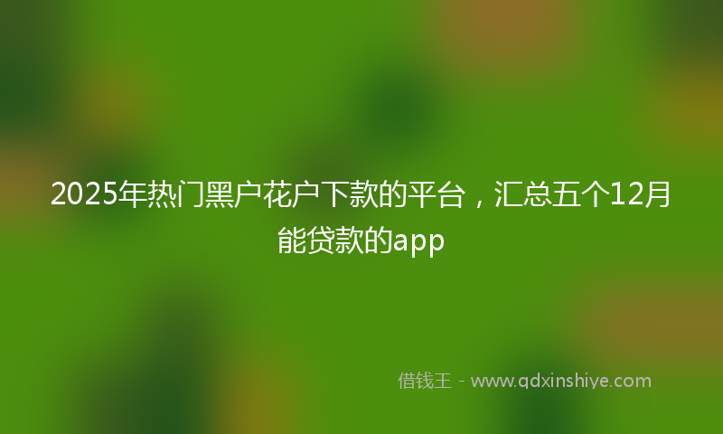 2025年热门黑户花户下款的平台，汇总五个12月能贷款的app