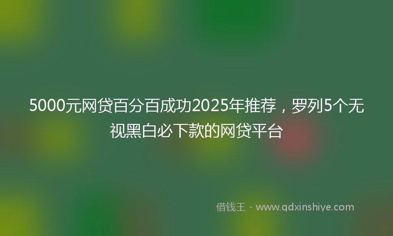 5000元网贷百分百成功2025年推荐，罗列5个无视黑白必下款的网贷平台