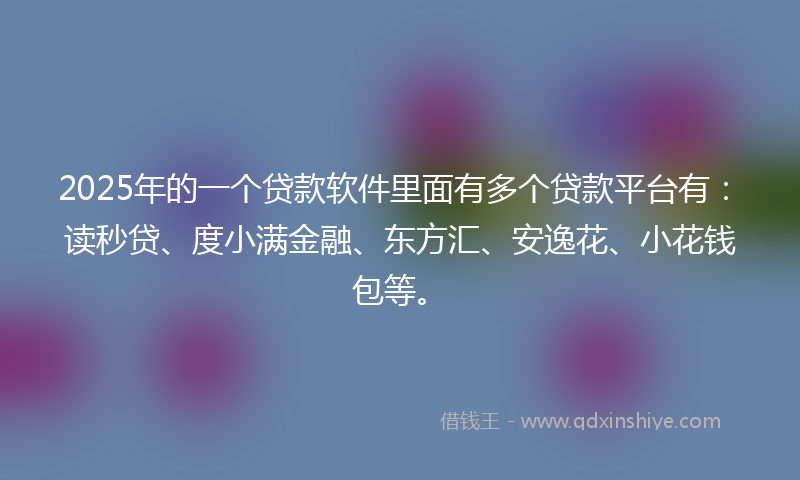 2025年的一个贷款软件里面有多个贷款平台有：读秒贷、度小满金融、东方汇、安逸花、小花钱包等。