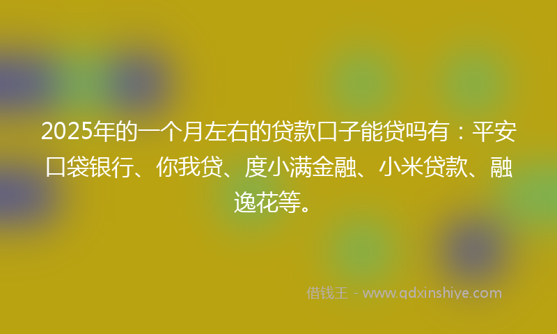 2025年的一个月左右的贷款口子能贷吗有：平安口袋银行、你我贷、度小满金融、小米贷款、融逸花等。