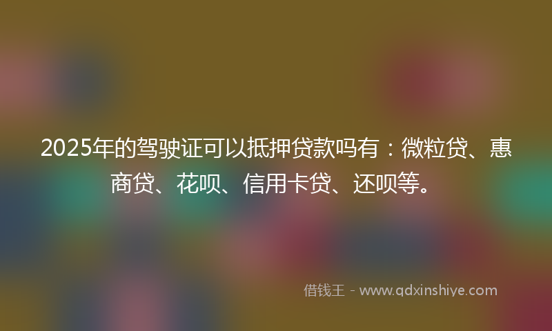 2025年的驾驶证可以抵押贷款吗有：微粒贷、惠商贷、花呗、信用卡贷、还呗等。
