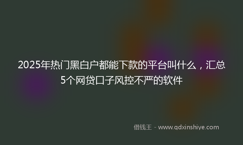 2025年热门黑白户都能下款的平台叫什么，汇总5个网贷口子风控不严的软件