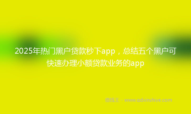 2025年热门黑户贷款秒下app，总结五个黑户可快速办理小额贷款业务的app