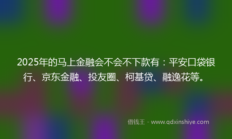 2025年的马上金融会不会不下款有：平安口袋银行、京东金融、投友圈、柯基贷、融逸花等。